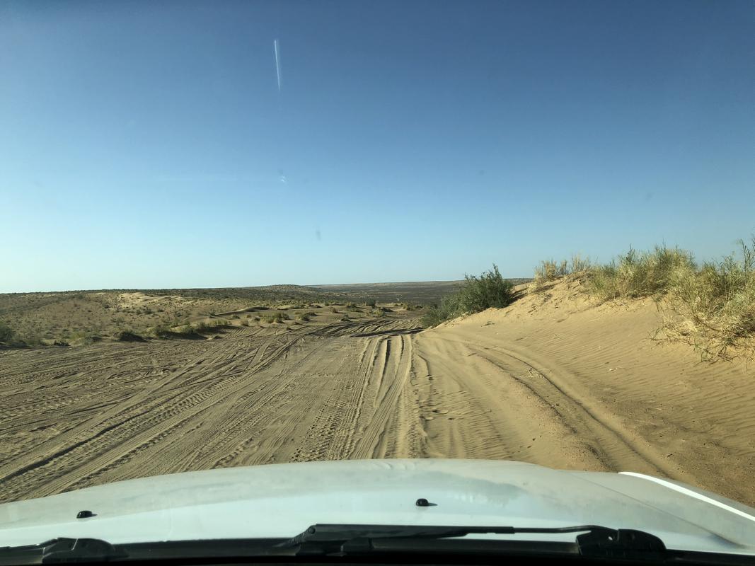 View from a car windshield of a sandy desert track with sparse vegetation under a clear blue sky.