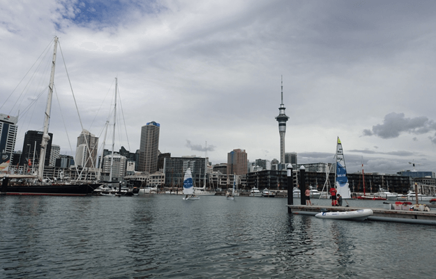 Auckland's Sky Tower and city skyline overlook a marina filled with sailboats.