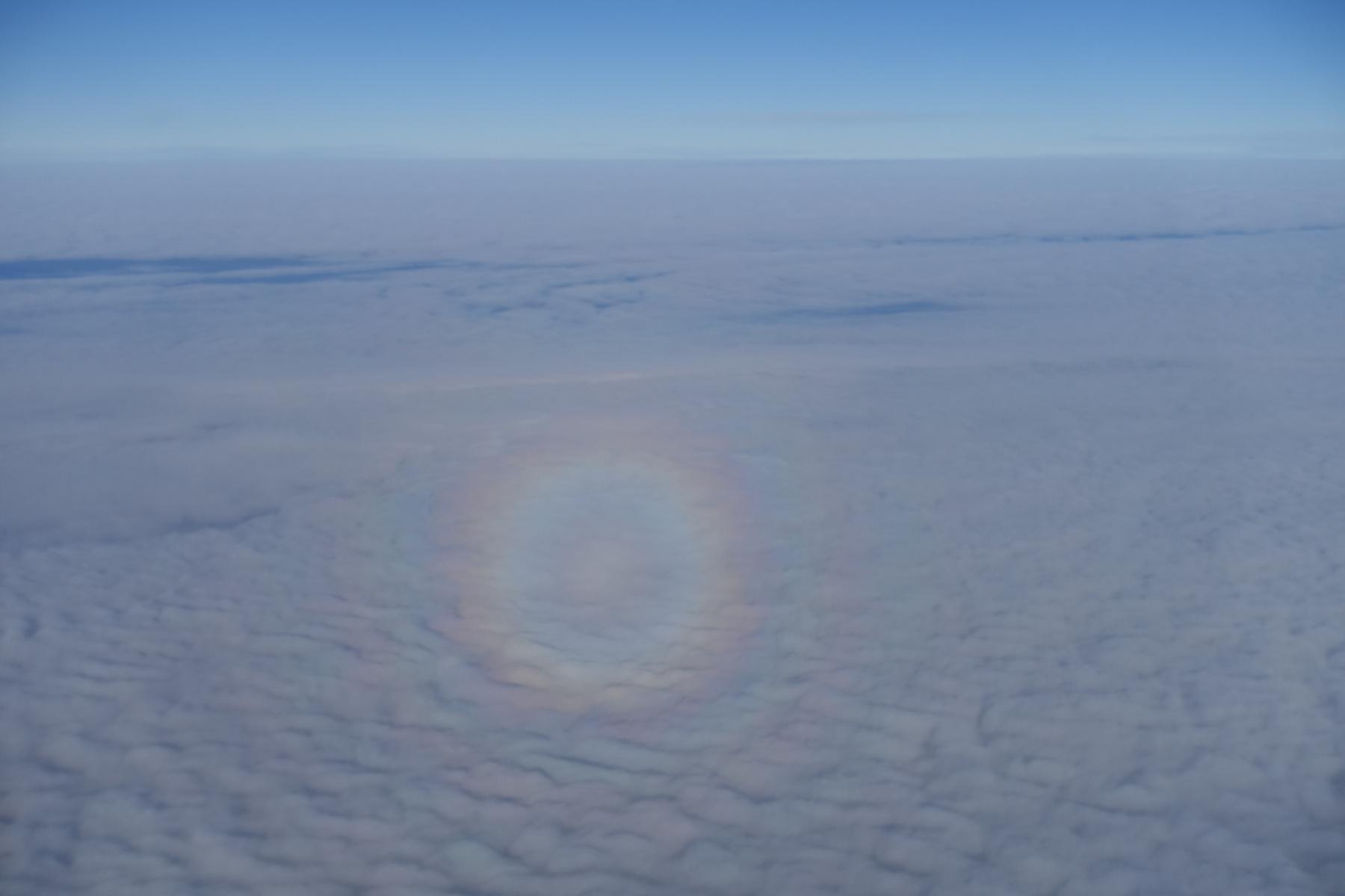 A circular rainbow, or glory, is visible on clouds below an airplane.