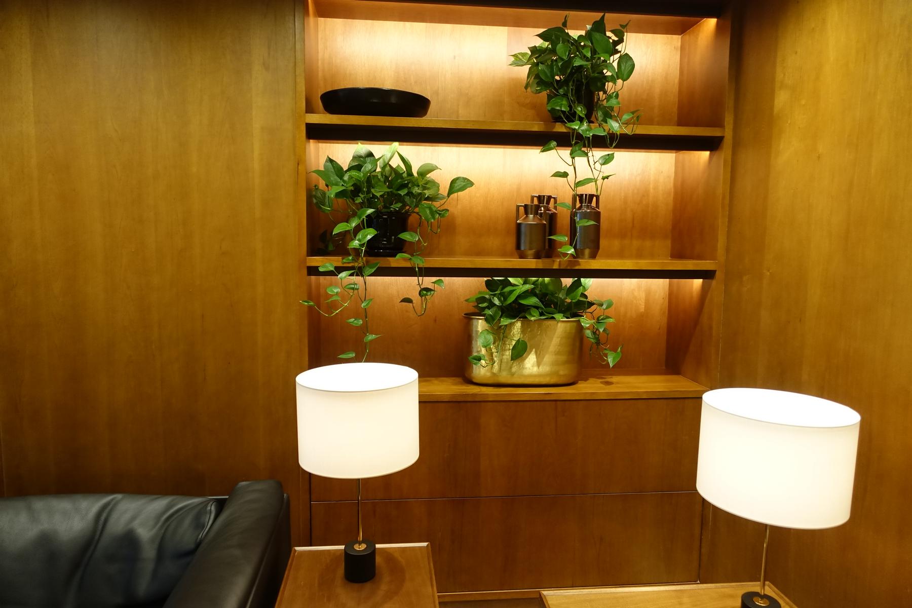 A lounge corner with illuminated wooden shelves displaying potted plants, a black leather sofa, and two table lamps.