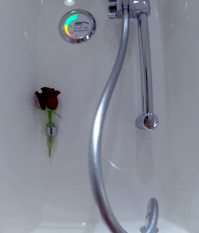 The Emirates A380 First Class shower with a red rose and a shower timer.