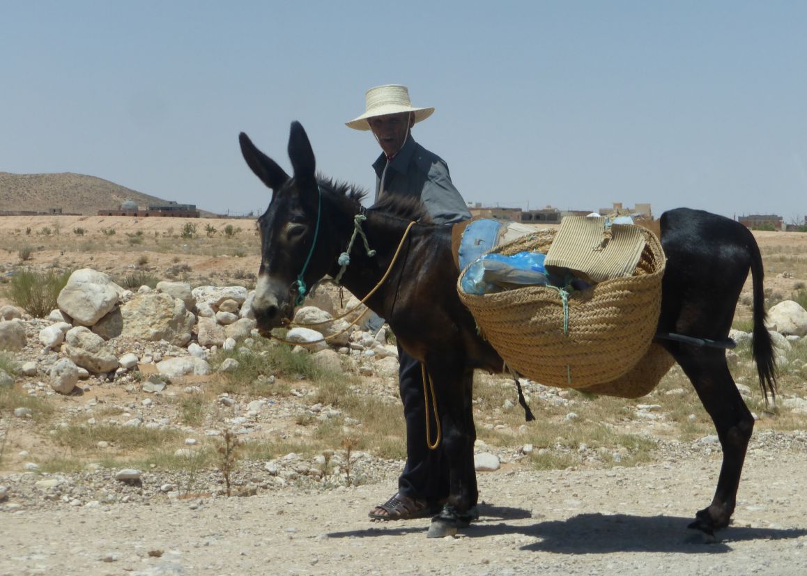 A man in a straw hat stands next to a donkey laden with large woven baskets filled with supplies in a desert landscape.