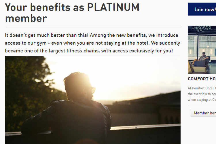 A person seen from behind is silhouetted by a bright setting sun.